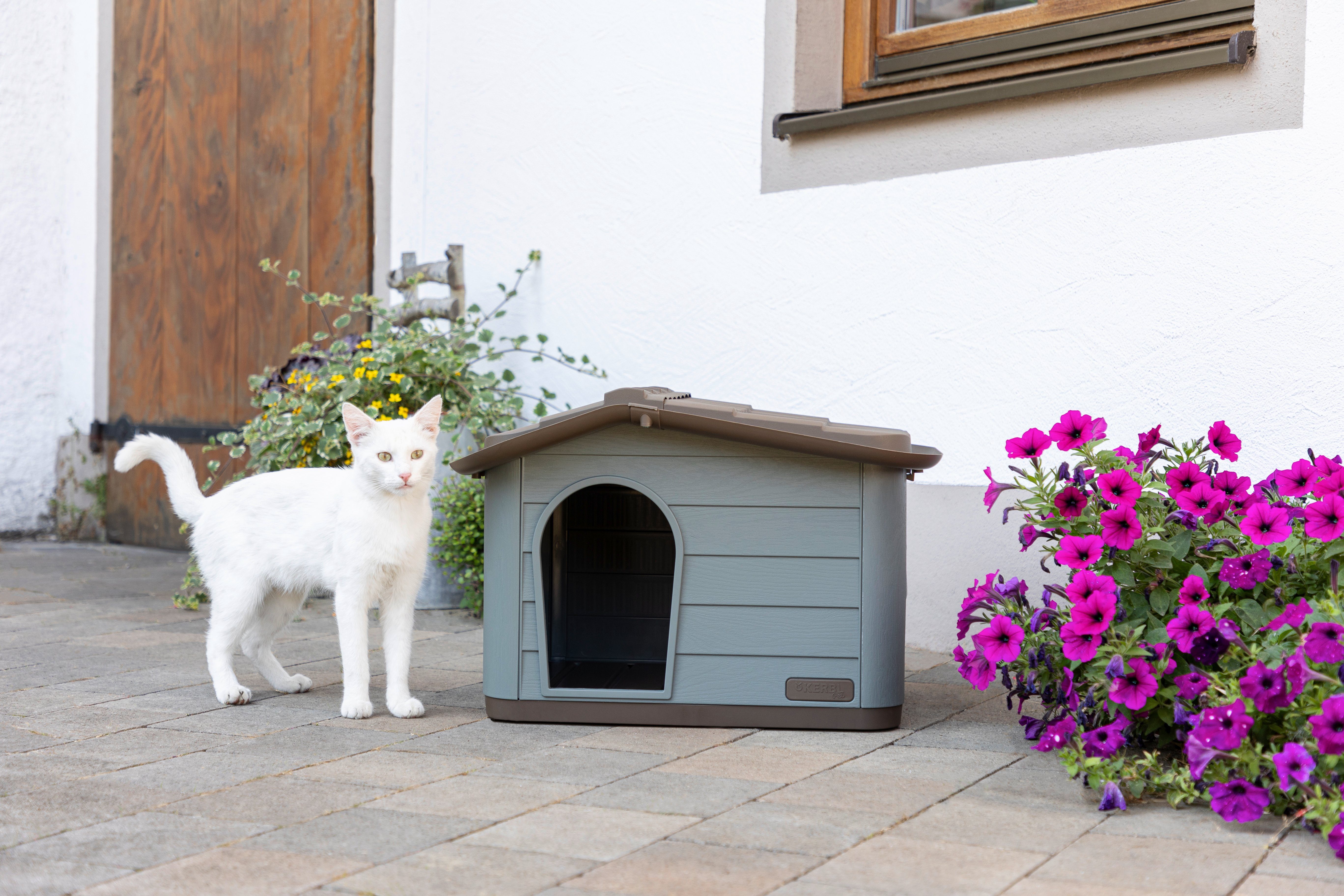 Kerbl Tierhaus Kerbl Katzenhaus Paola Eco (auch geeignet fŸr kleine Hunde, 60 x 51 x